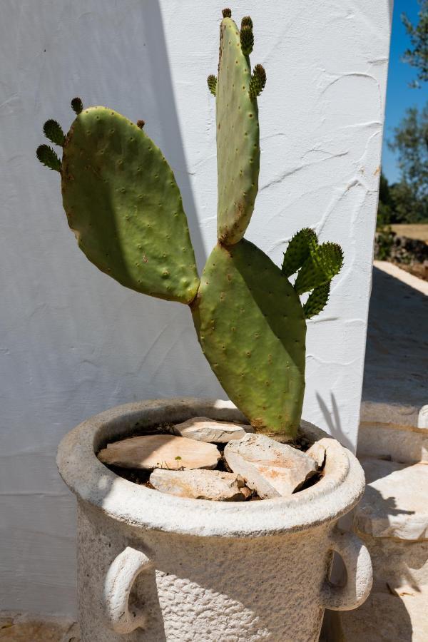 阿尔贝罗贝洛Il Trullo Della Rondinina别墅 外观 照片