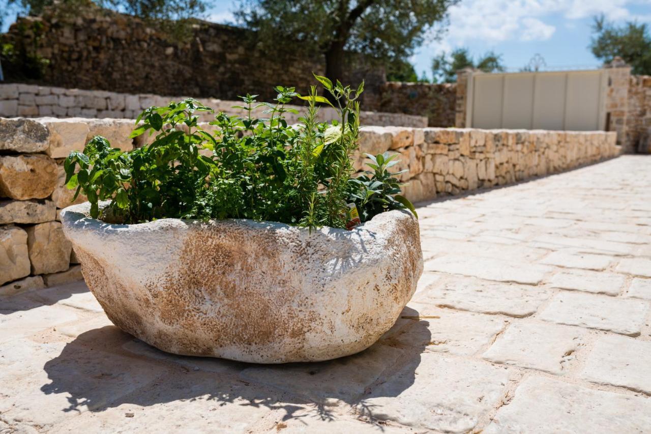 阿尔贝罗贝洛Il Trullo Della Rondinina别墅 外观 照片
