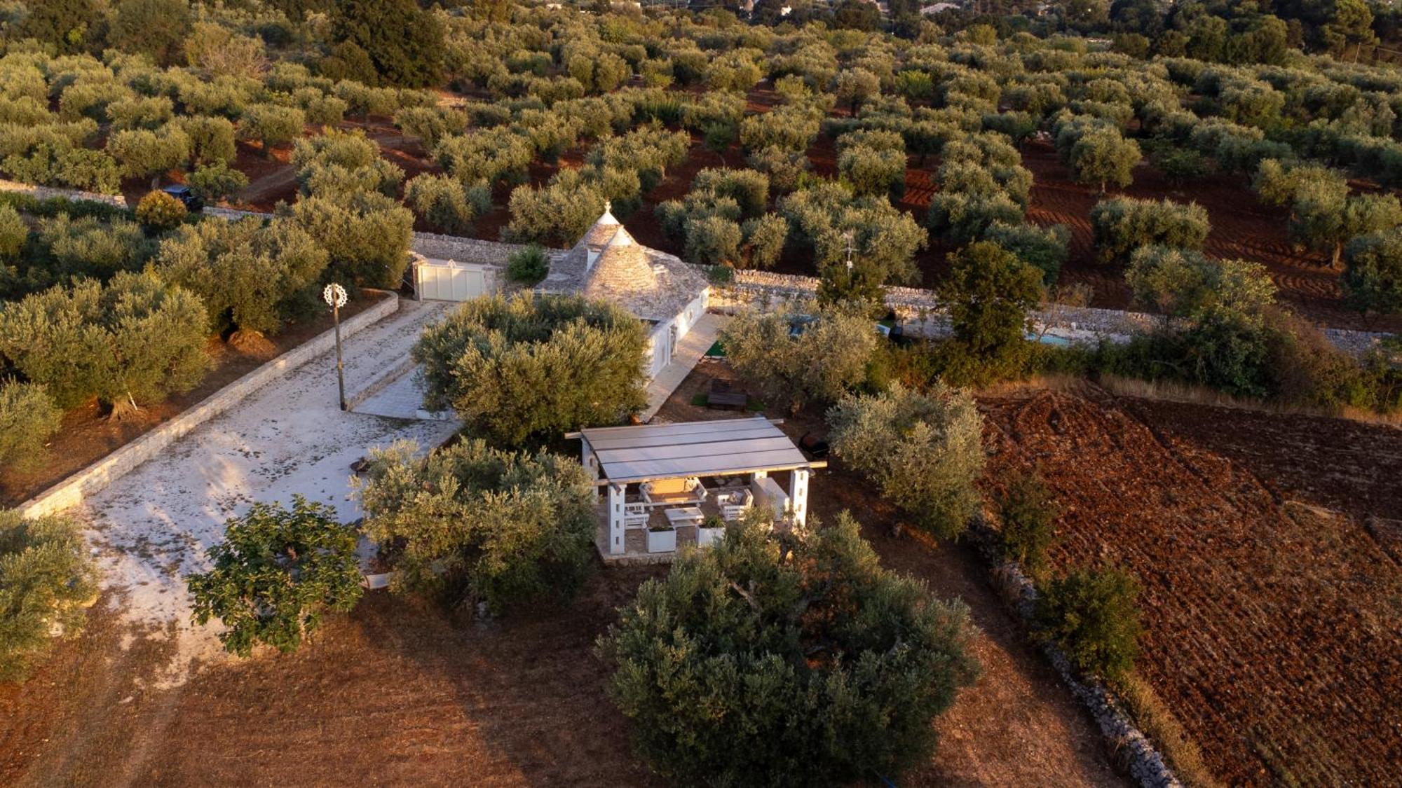 阿尔贝罗贝洛Il Trullo Della Rondinina别墅 外观 照片